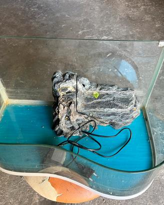 Acquario per tartarughe o pesciolini