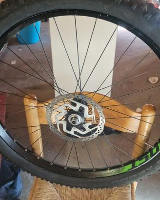 Ruote bici