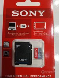 Micro SD da 256 GB 