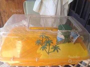 Casetta per tartarughe