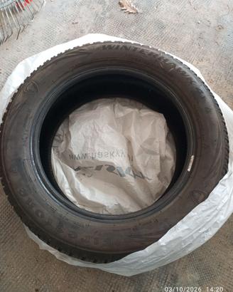 Treno gomme invernali Firestone 205/55 16 91H