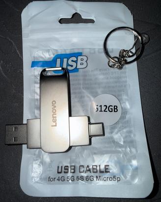 Penna USB. 512GB
