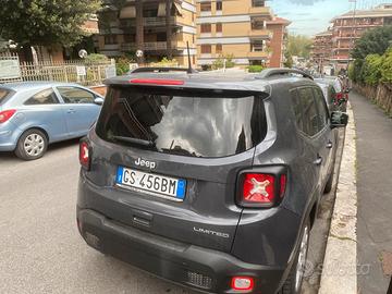 Renegade 1.6 multijet