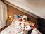 Immagine 29