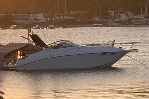 CELEBRITY 310 CX