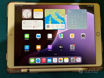 Apple Ipad air 3
