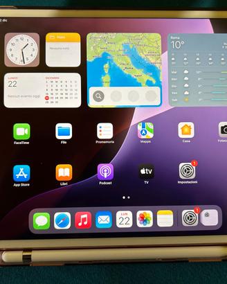 Apple Ipad air 3