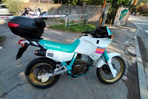 Dominator NX 650