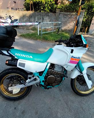 Dominator NX 650