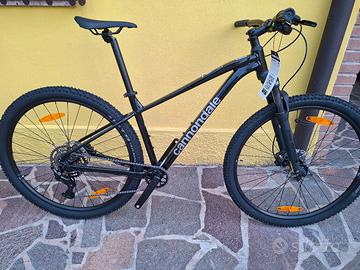 mtb 29 nuova 