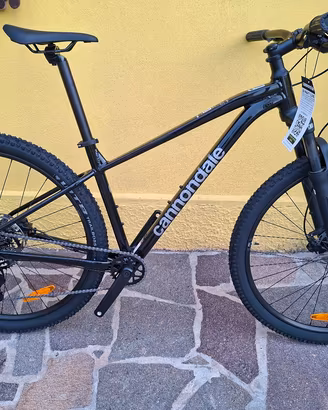 mtb 29 nuova 