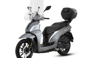 Scoter