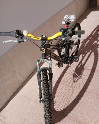 Mountain bike