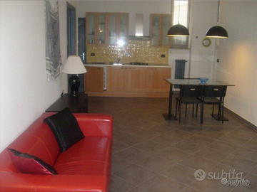 Appartamento da condividere zona Fiat Mirafiori