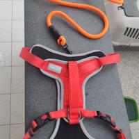 pettorina per cani medi grandi 