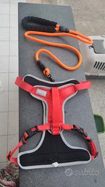 pettorina per cani medi grandi 