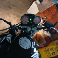 Hornet