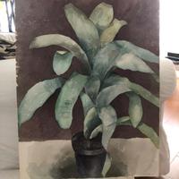 Quadri Acquerelli senza cornice PIANTE