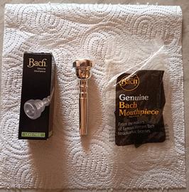 Strumenti Musicali 