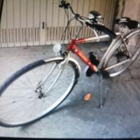 Bicicletta Garlaschelli 