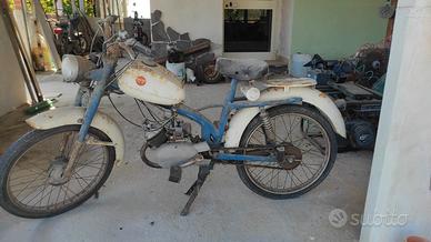 motorino dkw 50 
