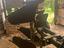 Immagine 4