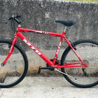 Bicicletta mountain bike