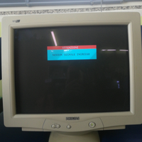 Monitor Philips 107es vintage