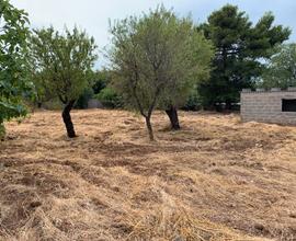 Terreno agricolo