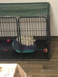 Recinzione per animali di casa