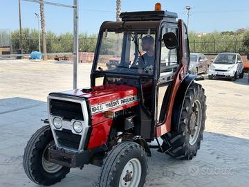 Trattore Massey ferguson 184 S frutteto