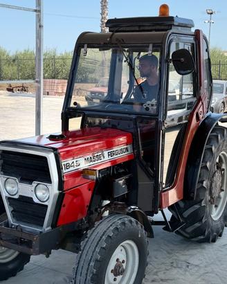 Trattore Massey ferguson 184 S frutteto