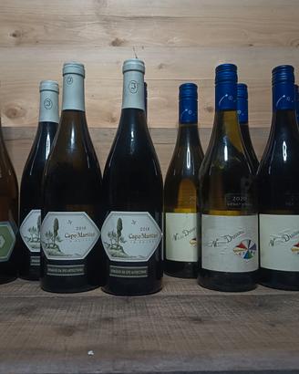 Svndita cantina privata Jermann 