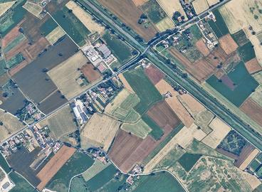 Collezione antiche varietà di fruttiferi