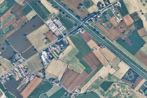 Collezione antiche varietà di fruttiferi