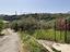 Immagine 23