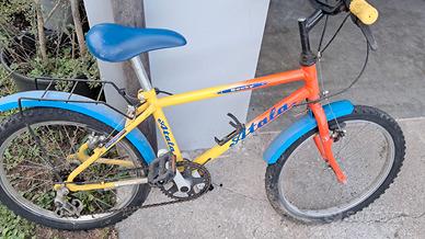 Bicicletta 