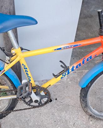Bicicletta 