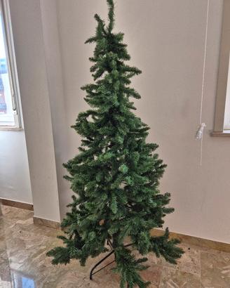 albero di natale 