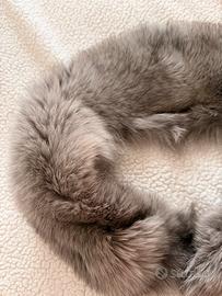 Collo di volpe visone