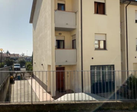 Terra tetto