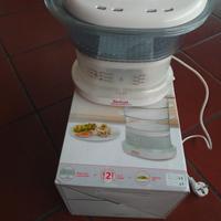 vaporiera tefal