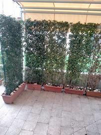 deVendo Pannelli di Siepe viva a Foglie piccole .