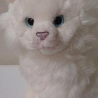 Gattino Bianco Persiano Peluche Lelly