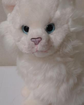 Gattino Bianco Persiano Peluche Lelly