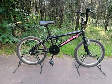BMX  Raleigh