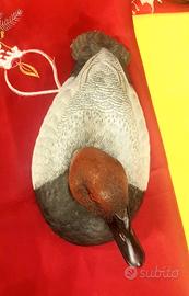 Soprammobile  DUCKS  Usa