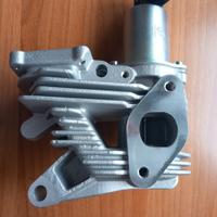 Valvola Egr per Renault Megane Scenic 1.9 Dci