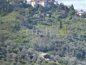 Terreno Edificabile a Seborga