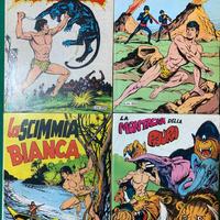 Fumetti della serie AKIM formato albo